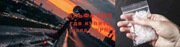 амф Вязьма