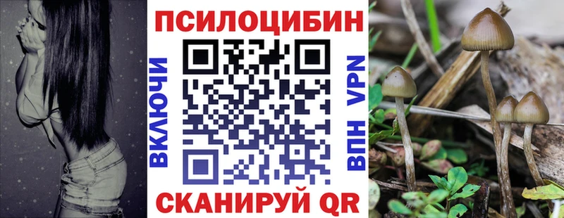 Псилоцибиновые грибы Psilocybe  дарнет шоп  mega сайт  Новороссийск 