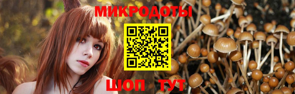 Галлюциногенные грибы ЛСД  Вход с VPN  Новороссийск 