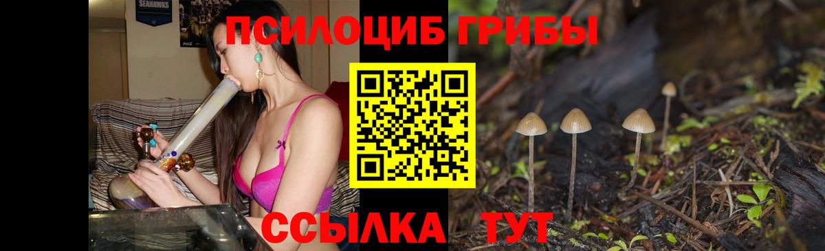 Галлюциногенные грибы Cubensis Новороссийск